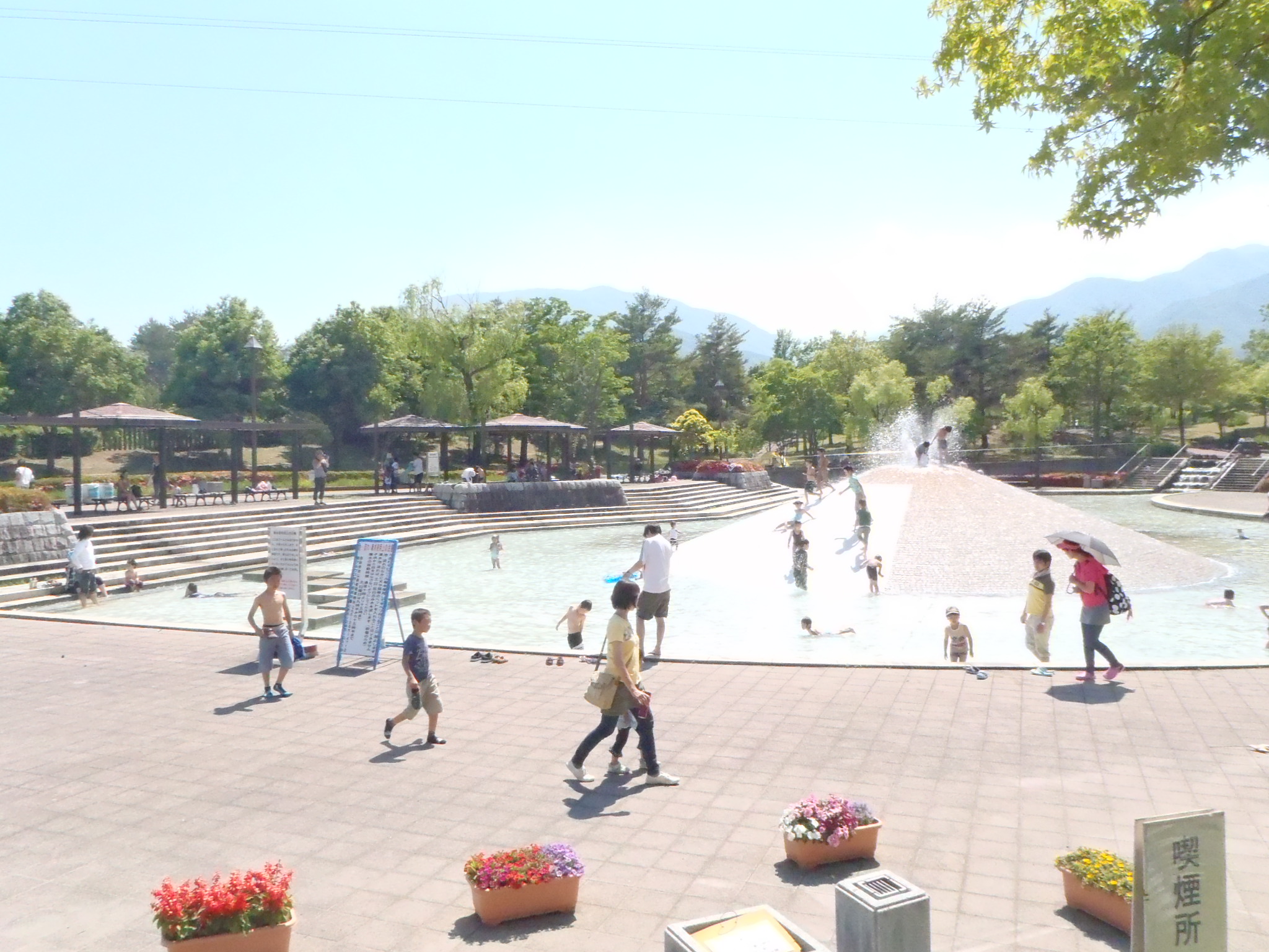 見る・遊ぶ