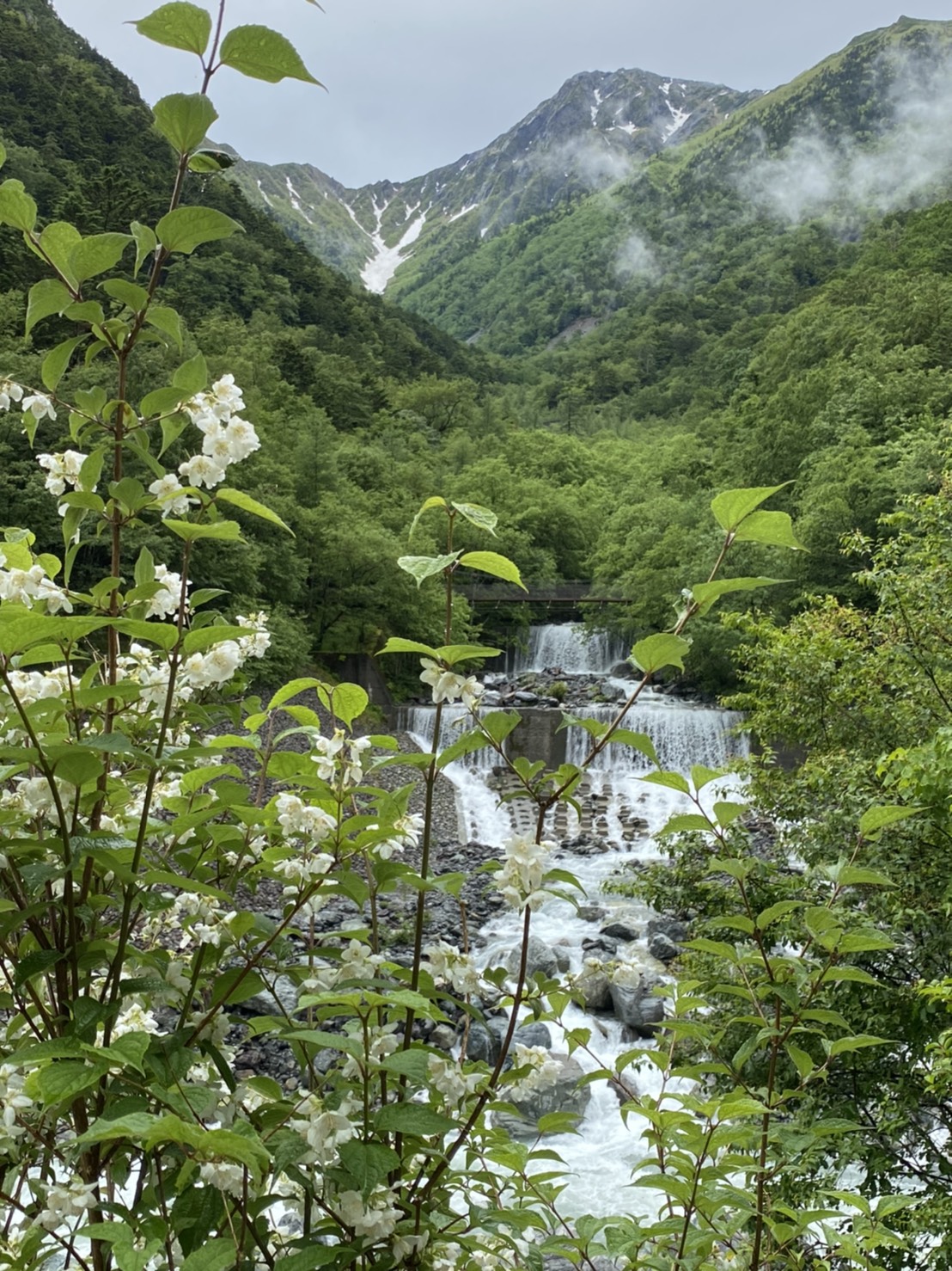 広河原からの北岳6/28