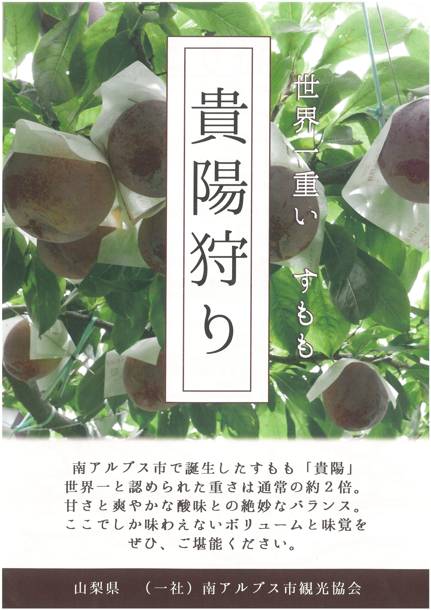 【貴陽狩りのご案内】