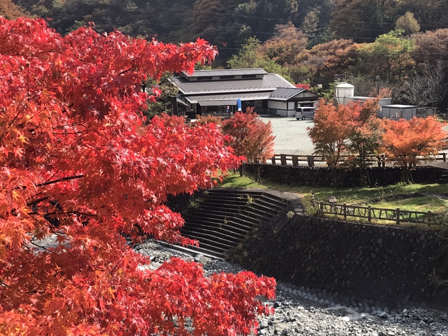 【市内紅葉情報　芦安】