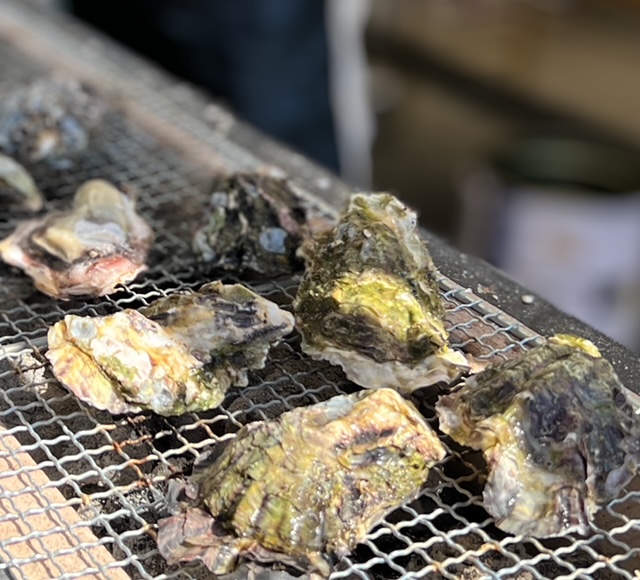 【第31回 かきまつり・まいもん朝市ご案内】