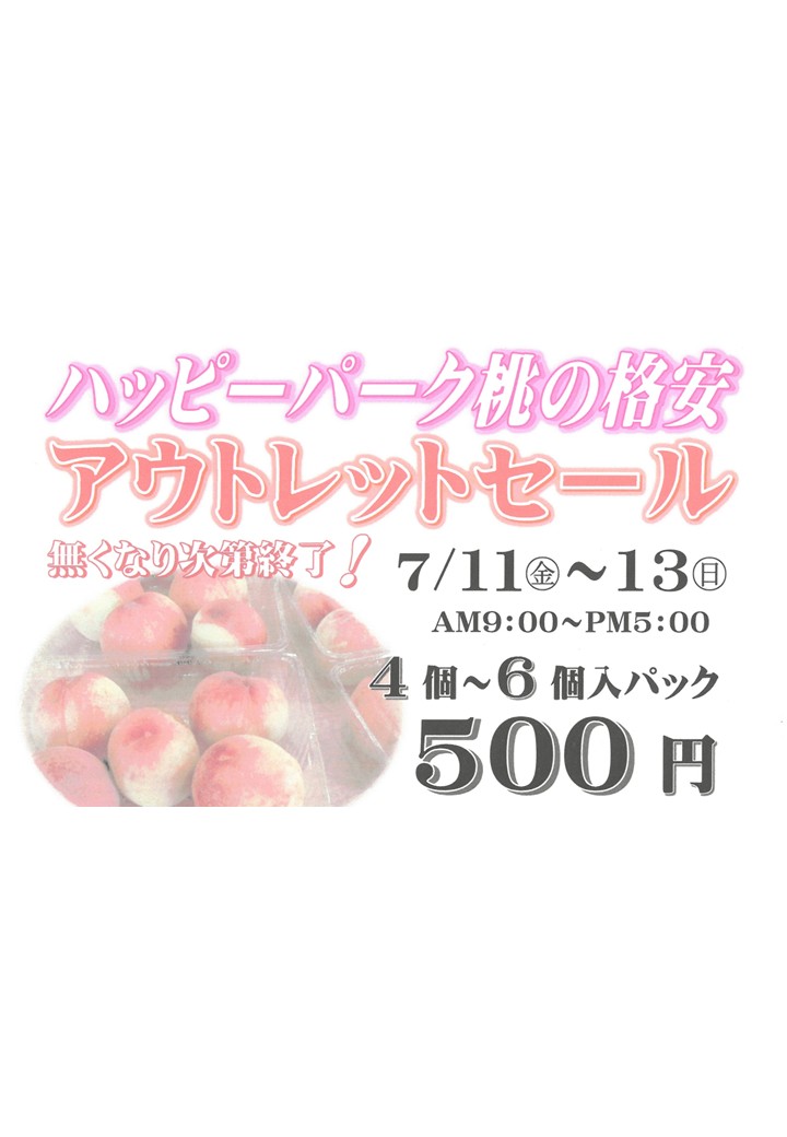 【ハッピーパーク桃の格安 アウトレットセール！】ハッピーパーク