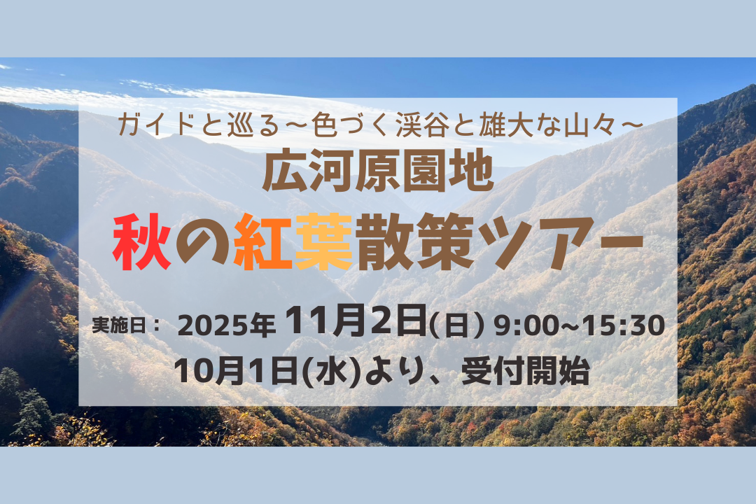 10/2受付終了【11/2(日) 広河原園地秋の紅葉散策ツアー】参加者募集!