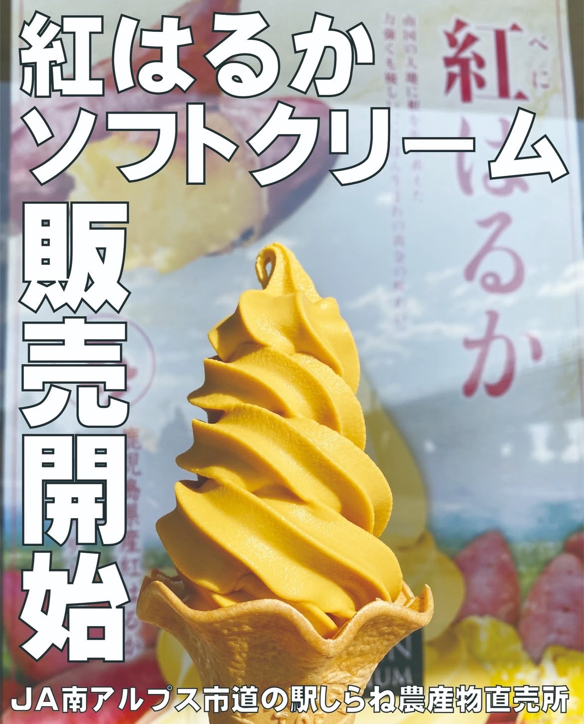 【道の駅しらね】紅はるかソフトクリームが始まりました